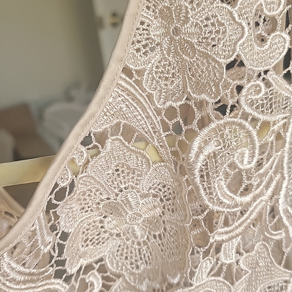 Adrianna Papell lace evening dress - Picture 2 of 4